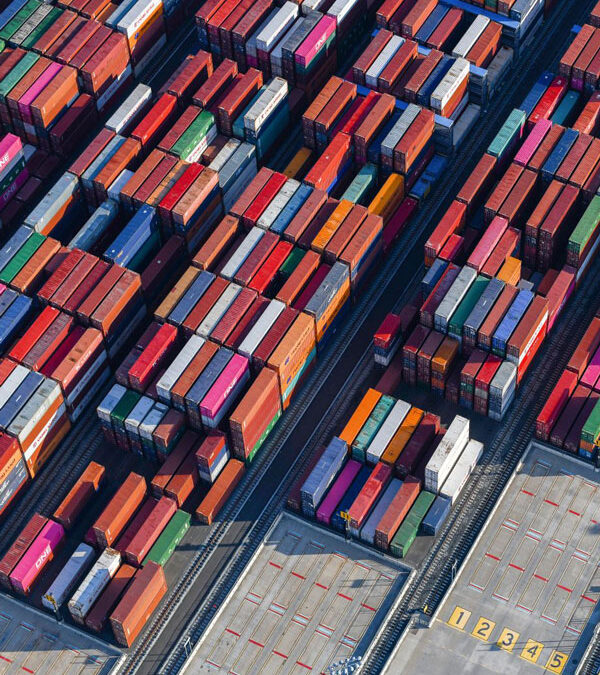 Acuerdo UE–Mercosur en vigor: lo que significa para los importadores y distribuidores europeos de alimentos, vinos y aceites