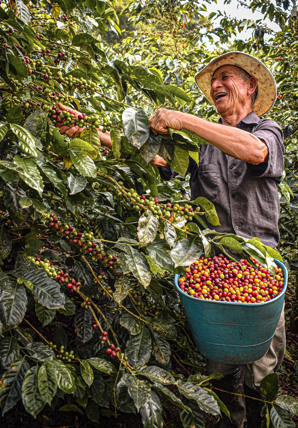 marketalia-world-homepage-coffee-farmer-004